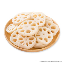 Frozen Lotus Root Slice Ifq Vegetables